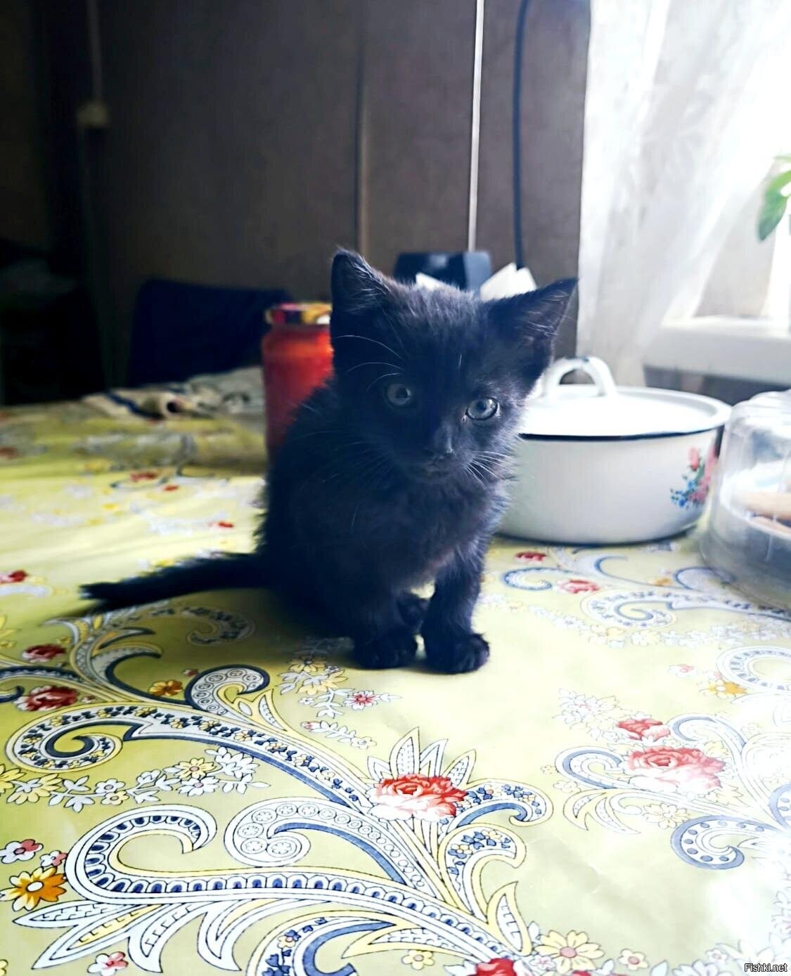 Солянка