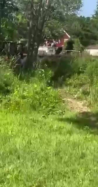 Чотко