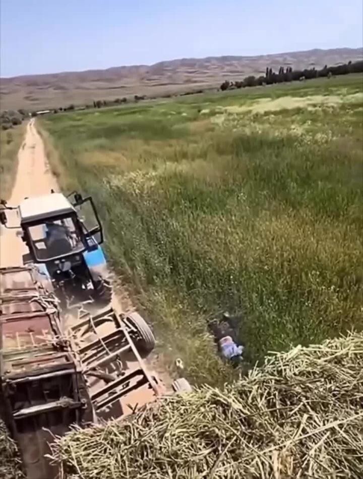 А вы кем работаете