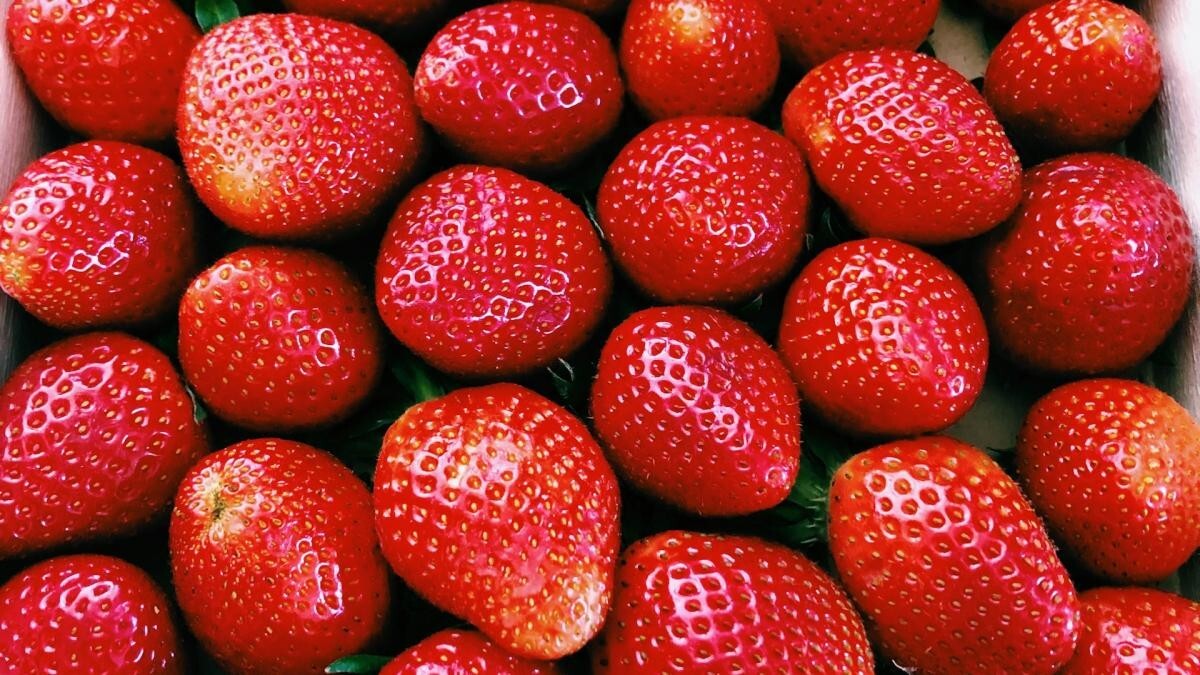 Лесная любительница клубники