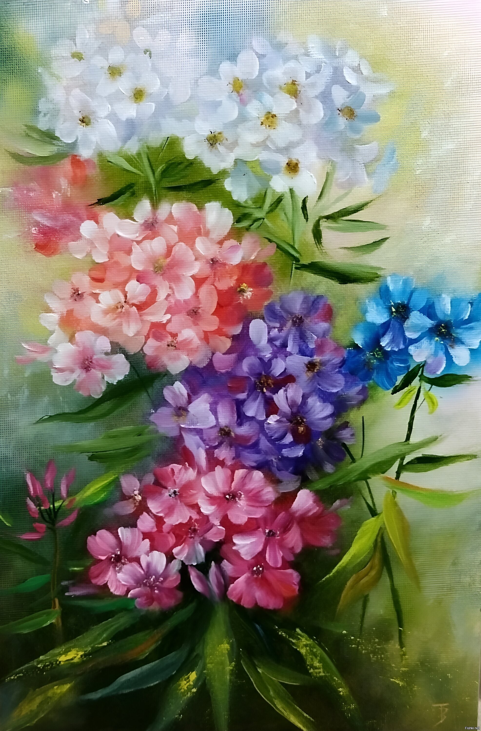 Солянка