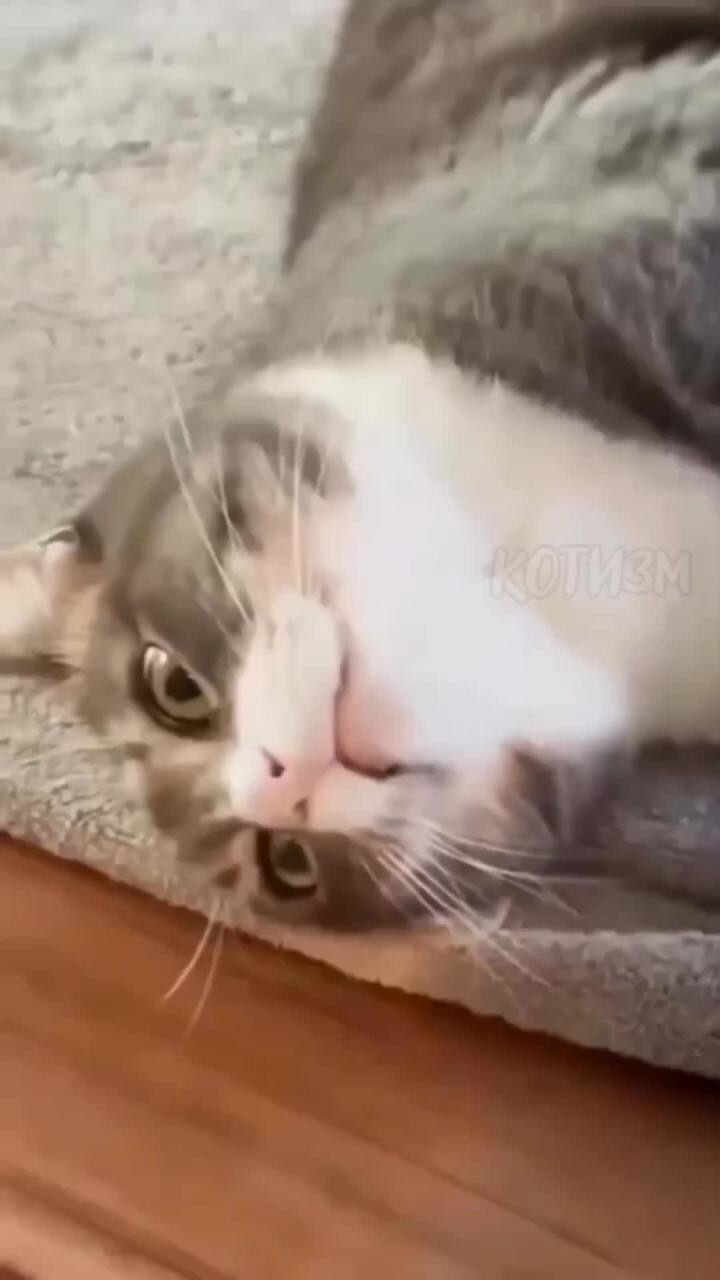 Этот момент, когда понимаешь, что твоя жизнь больше никогда не будет прежней
