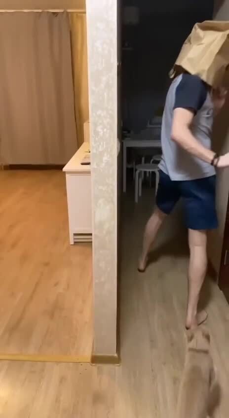 Боевой кот