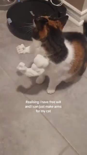 Аксессуар для кота