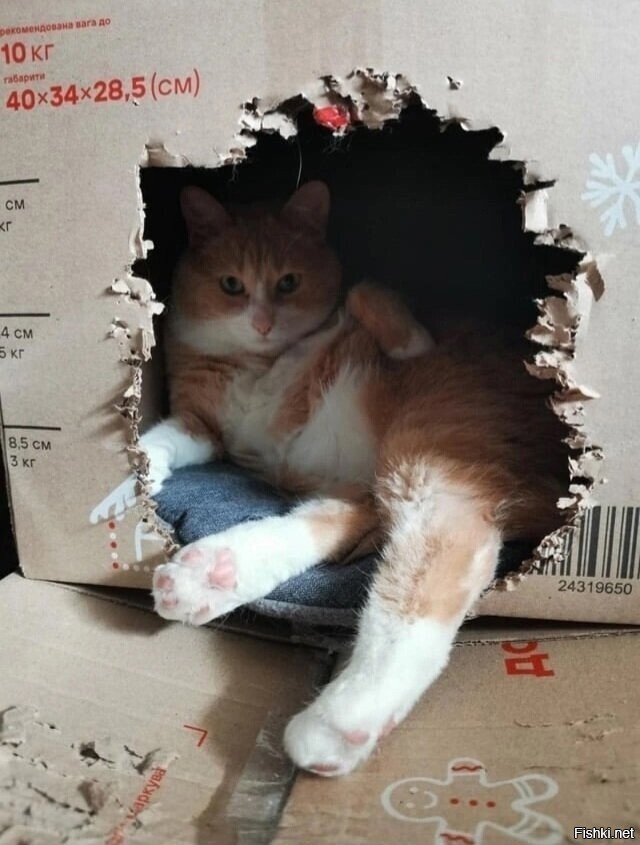 Солянка