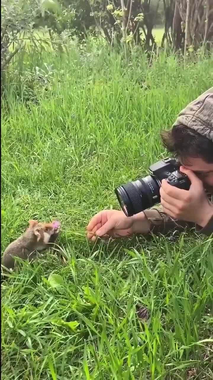 Оригинальная фотосессия )