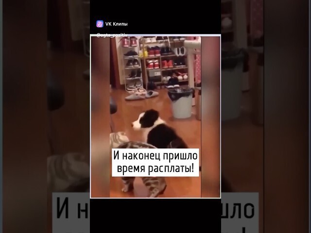 История восхождения 
