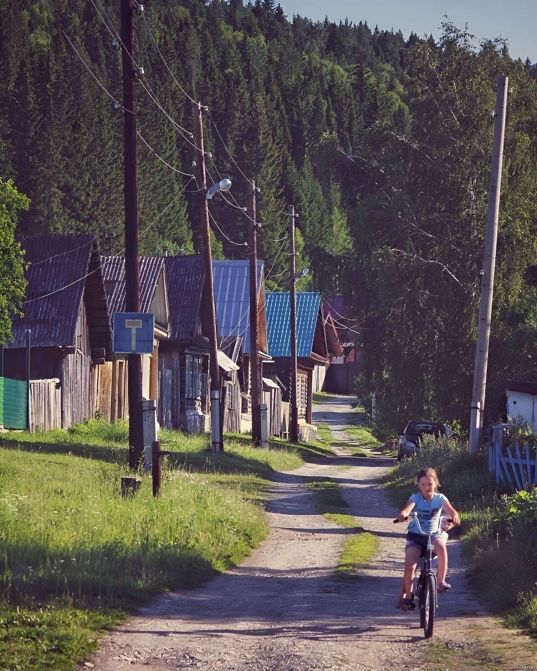 Солянка