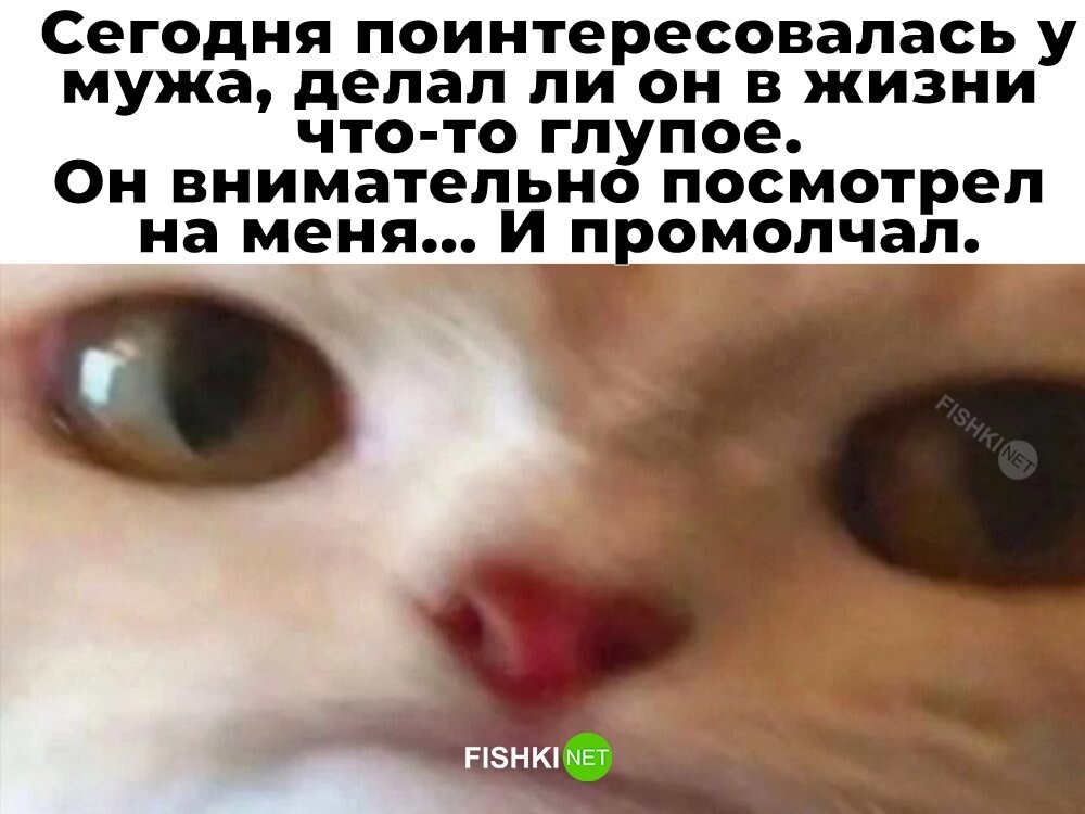 Не ищите здесь смысл. Здесь в основном маразм