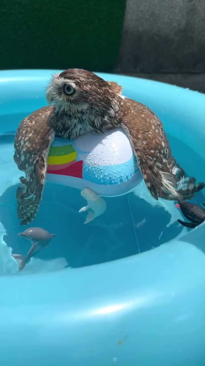 Отличный отдых)