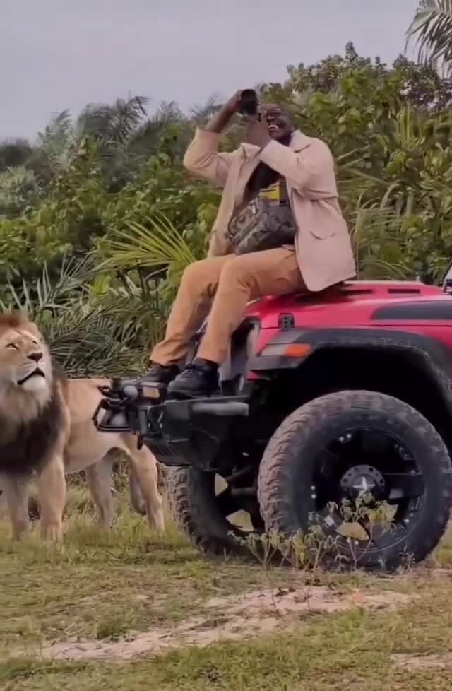 Ну и что дальше