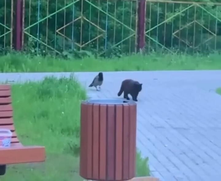 Интересный случай)