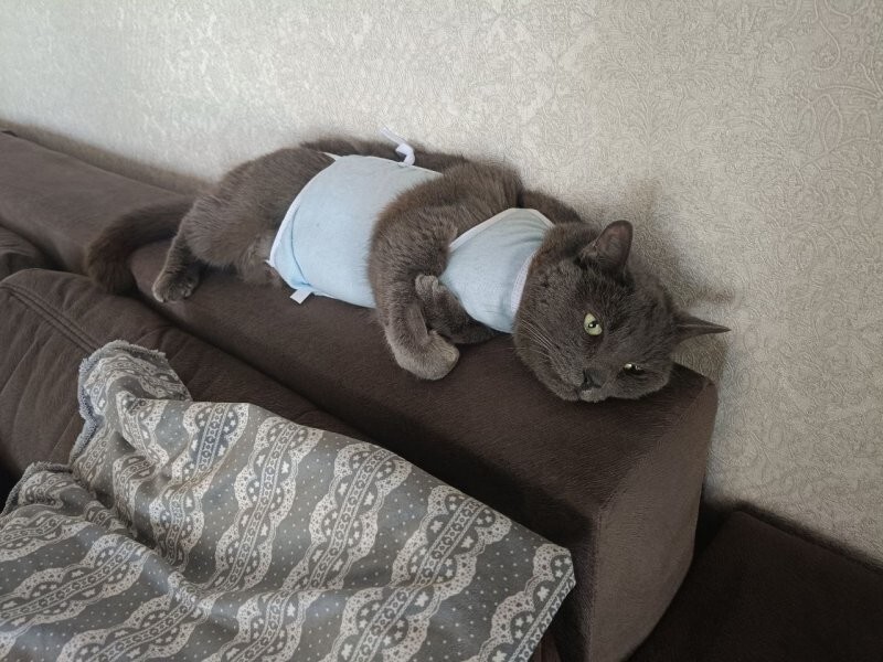 Член семьи страдает