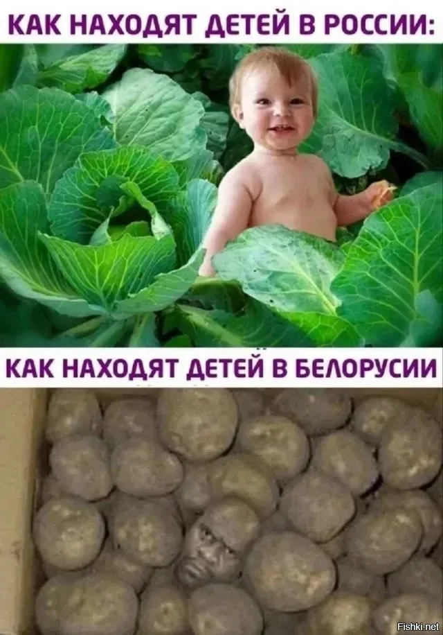 Солянка