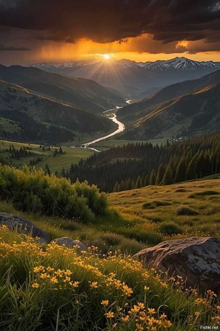 Солянка