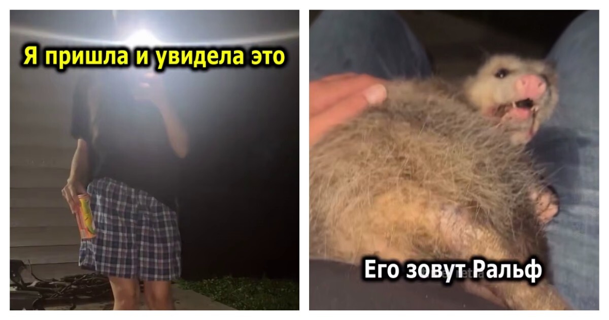 Девушка не в восторге от нового друга её парня