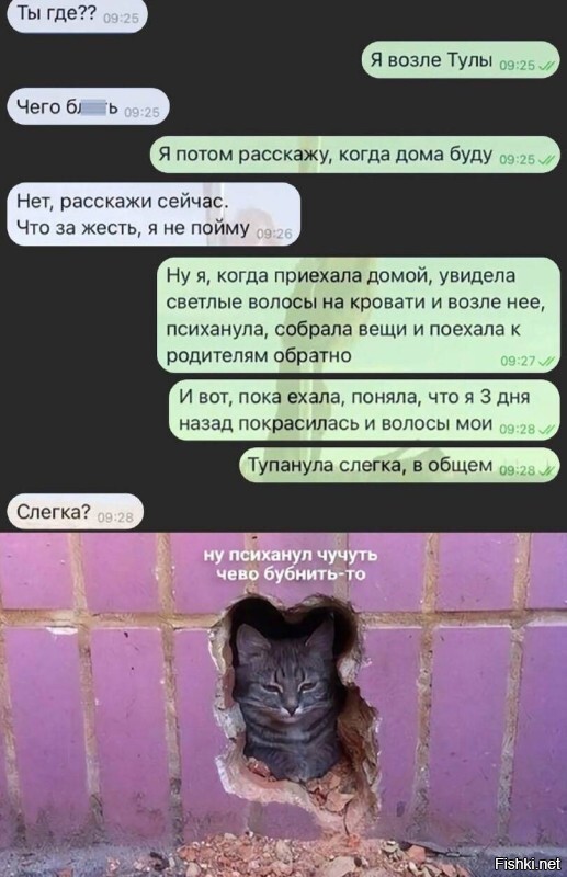 Солянка