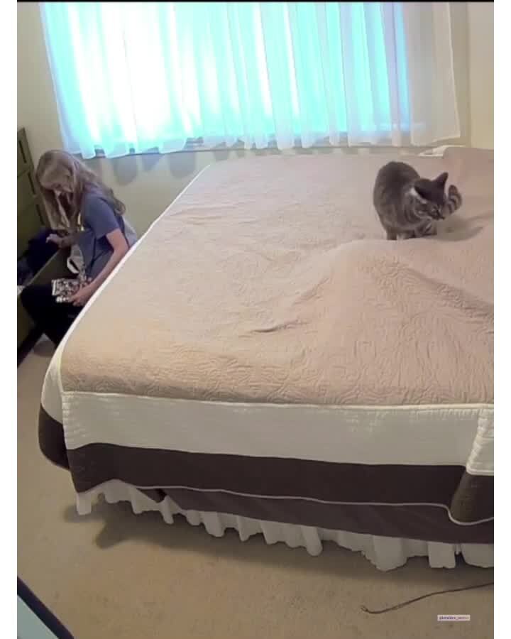 Застеснялся)