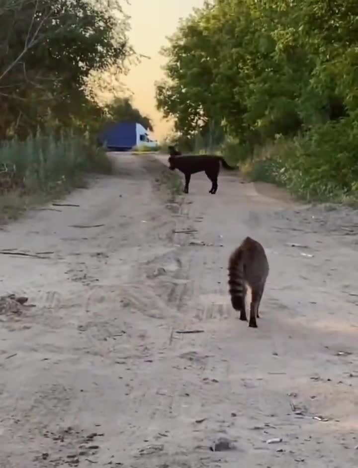 Когда зашли не в тот район