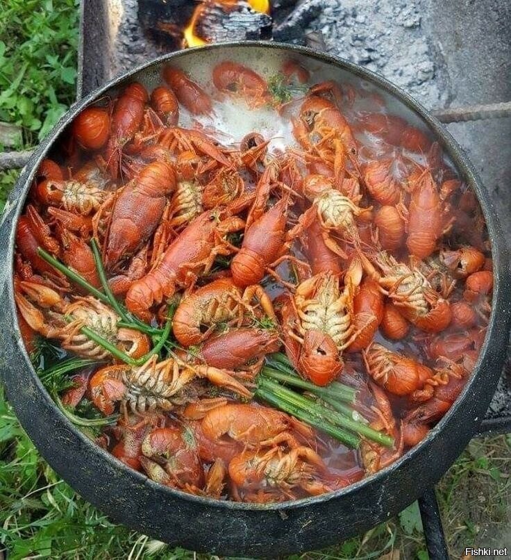 Солянка