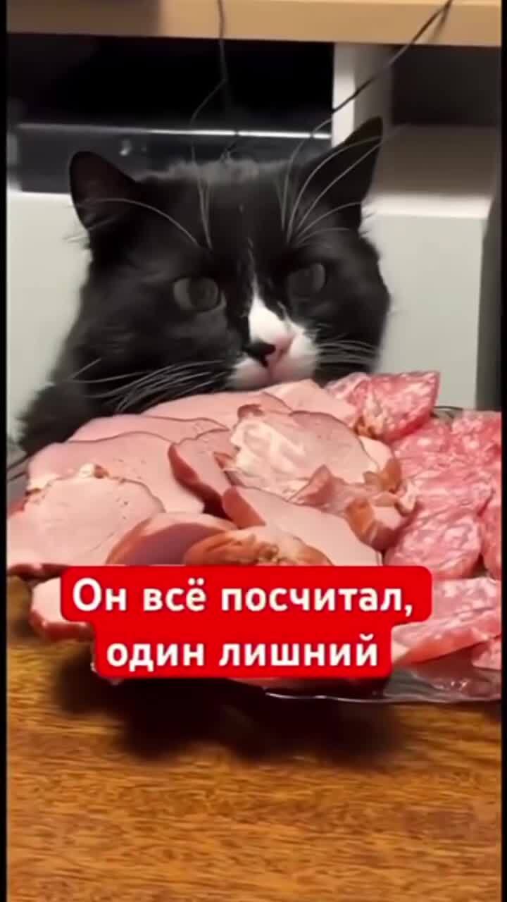 Внимательный)