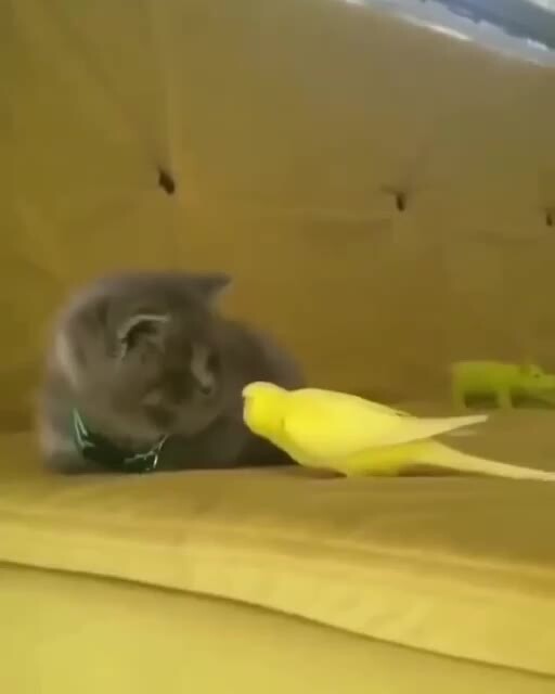 Дружба не задалась )