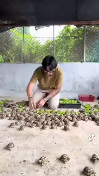 "