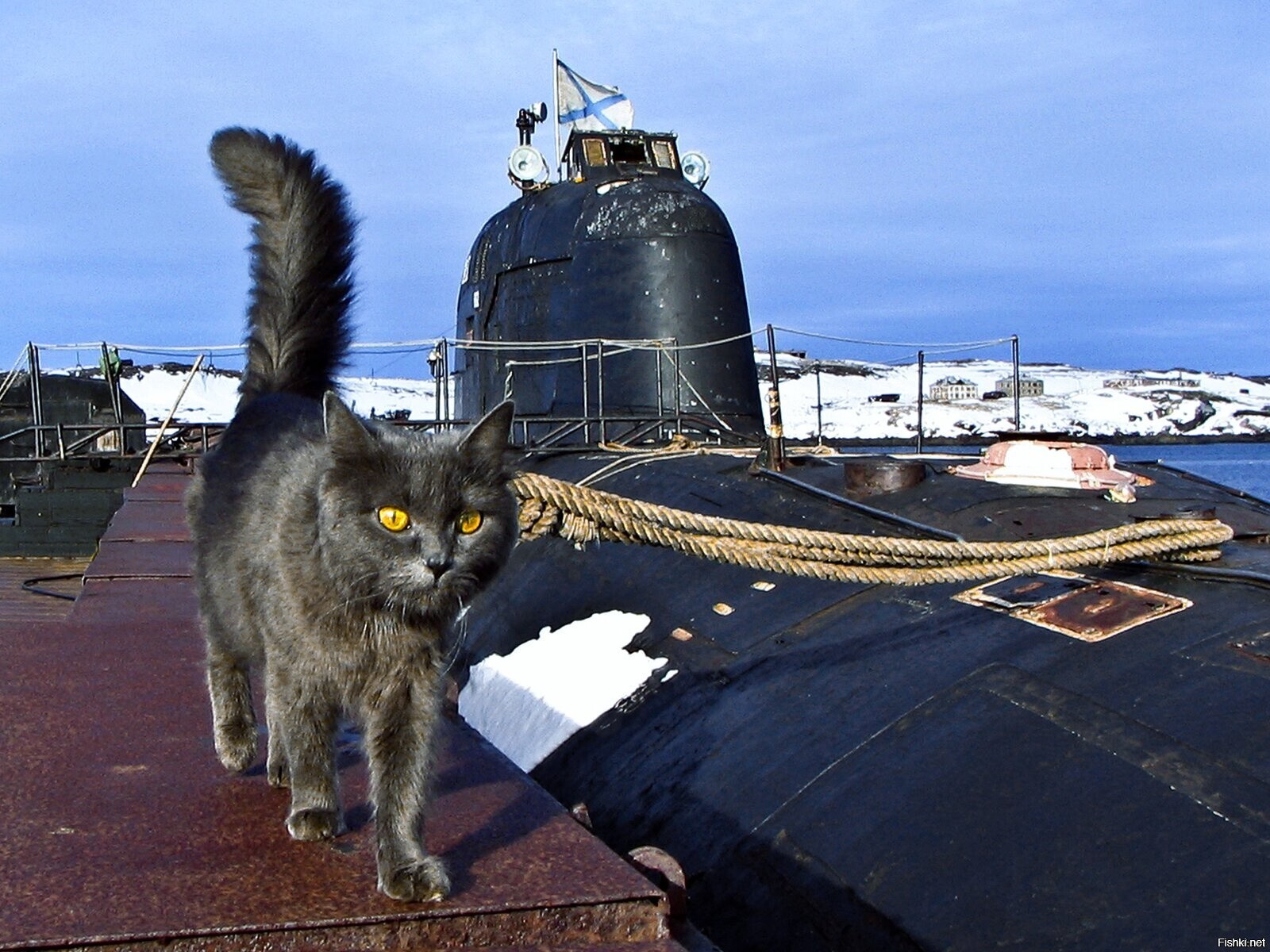 Солянка