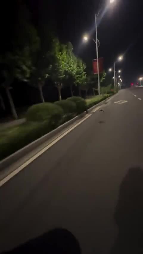 Выгуливаем ворона на мотоцикле