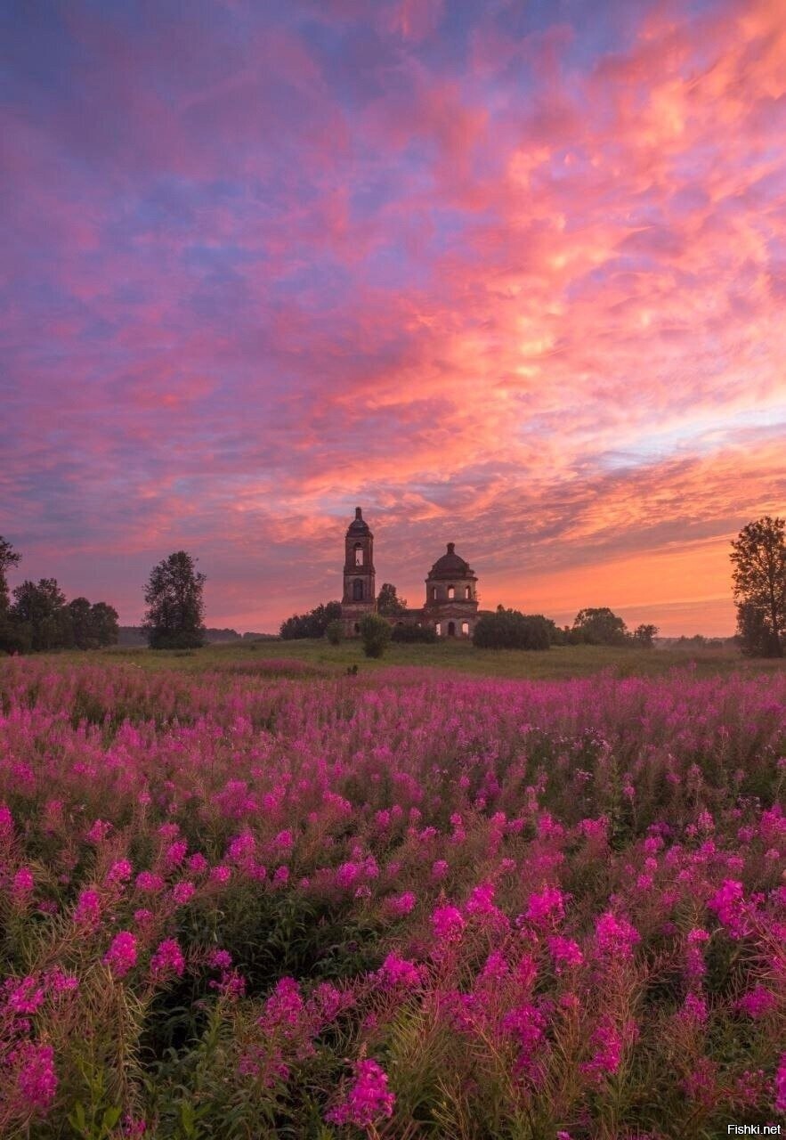 Солянка