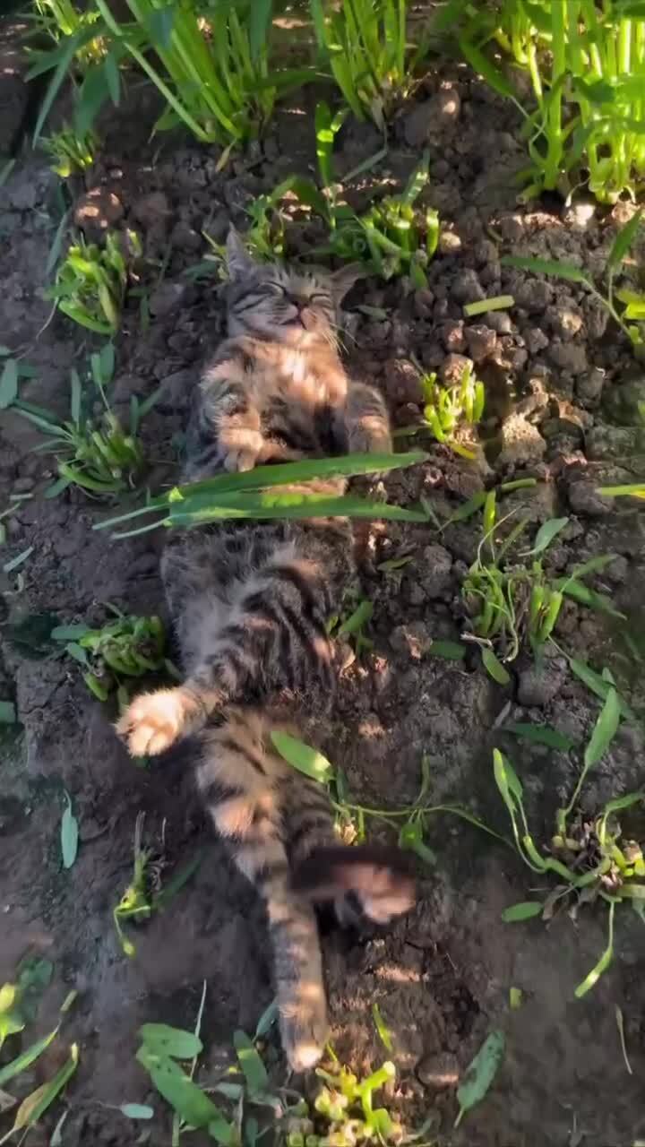 Пятничное настроение)
