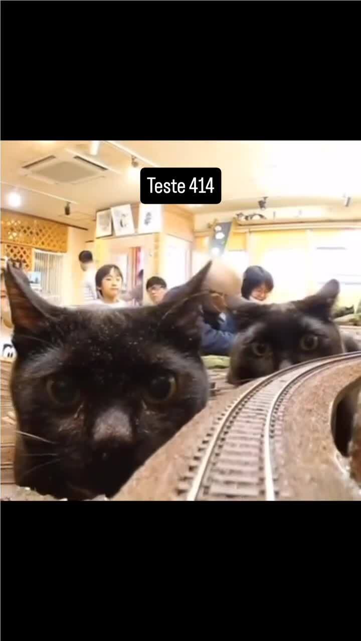 На страже)