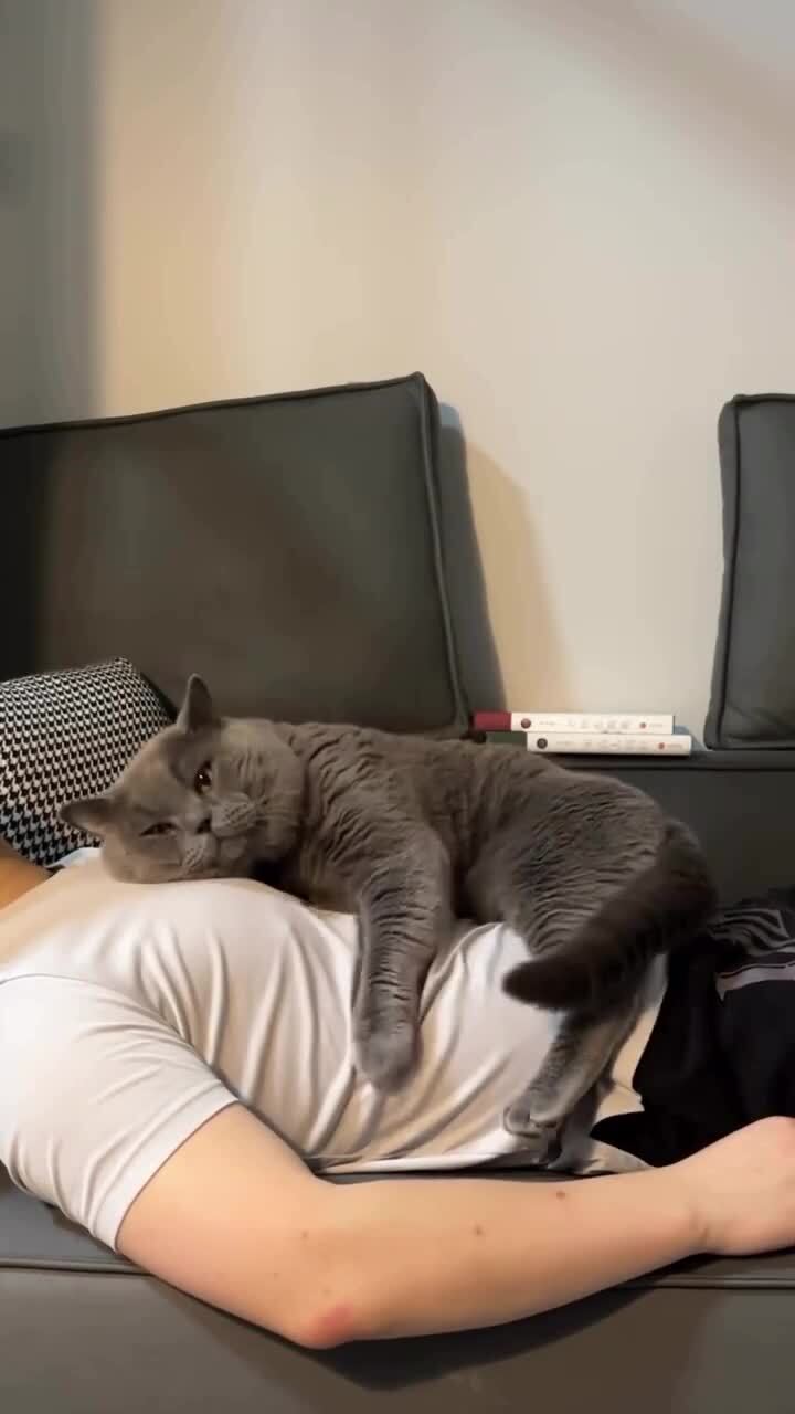Любовь)