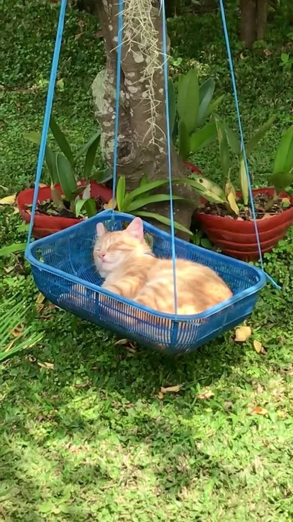 Классный отдых