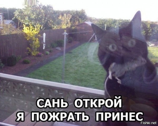У меня кот задолбал уже каждый день по несколько раз приносить из сада пойман...