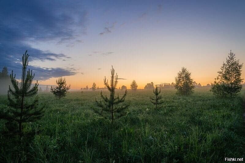 Солянка