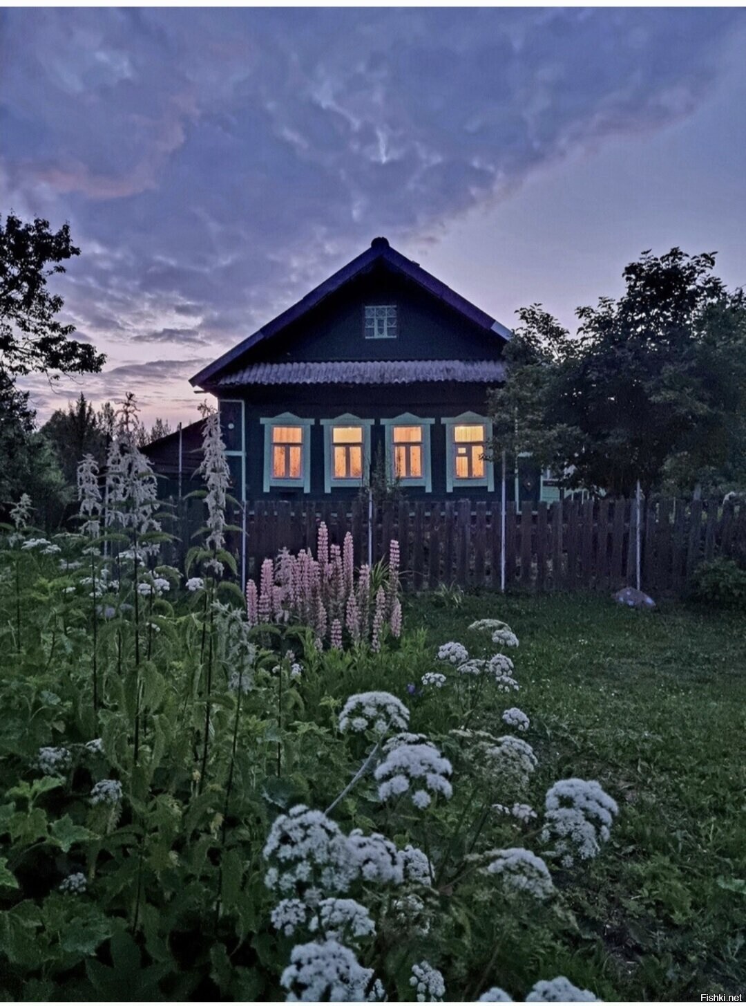 Солянка