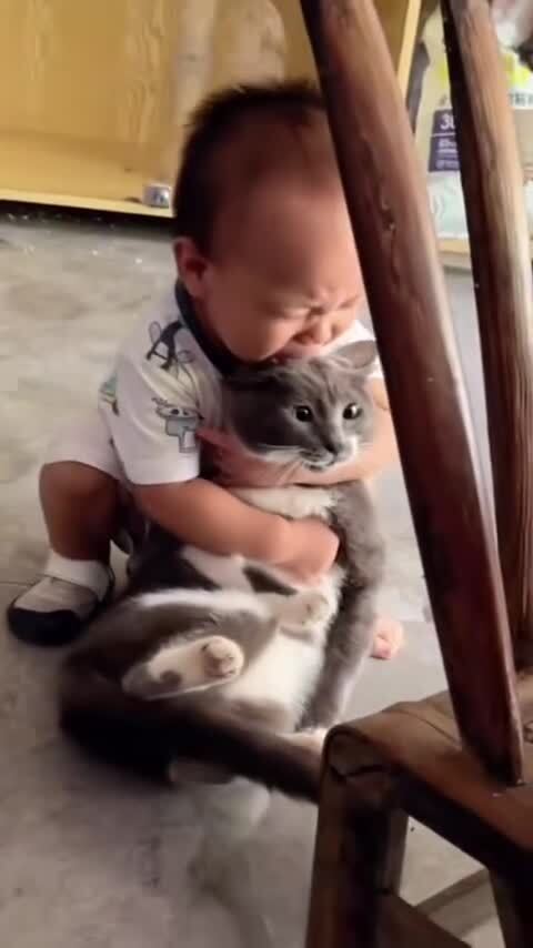 Кот в шоке