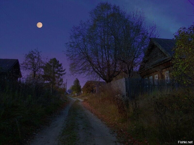 Солянка