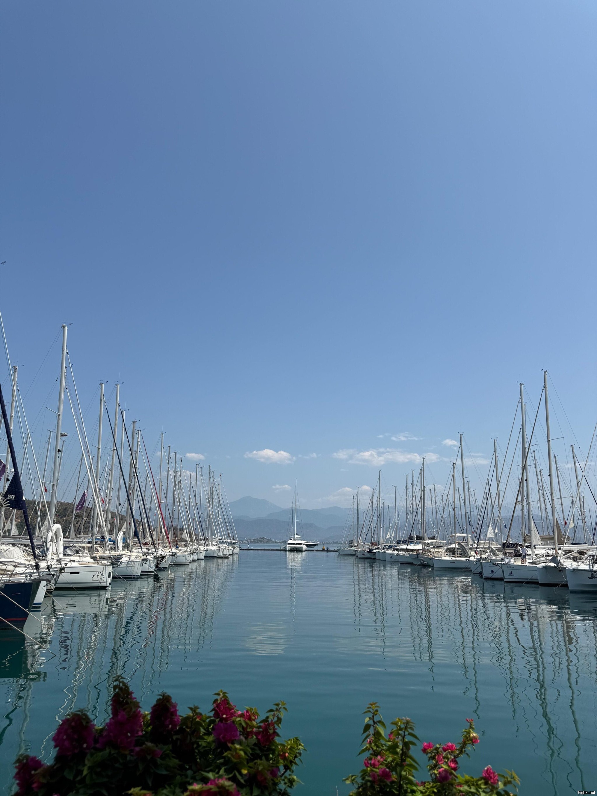 Ece marina, Fethie