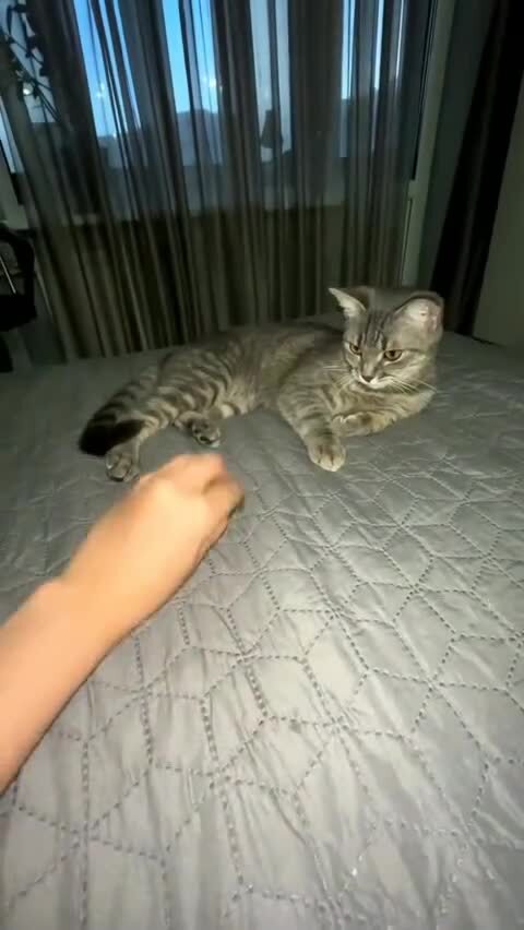 Повторил)