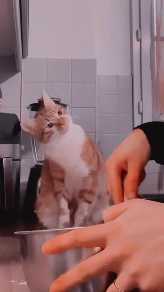 Наблюдает)