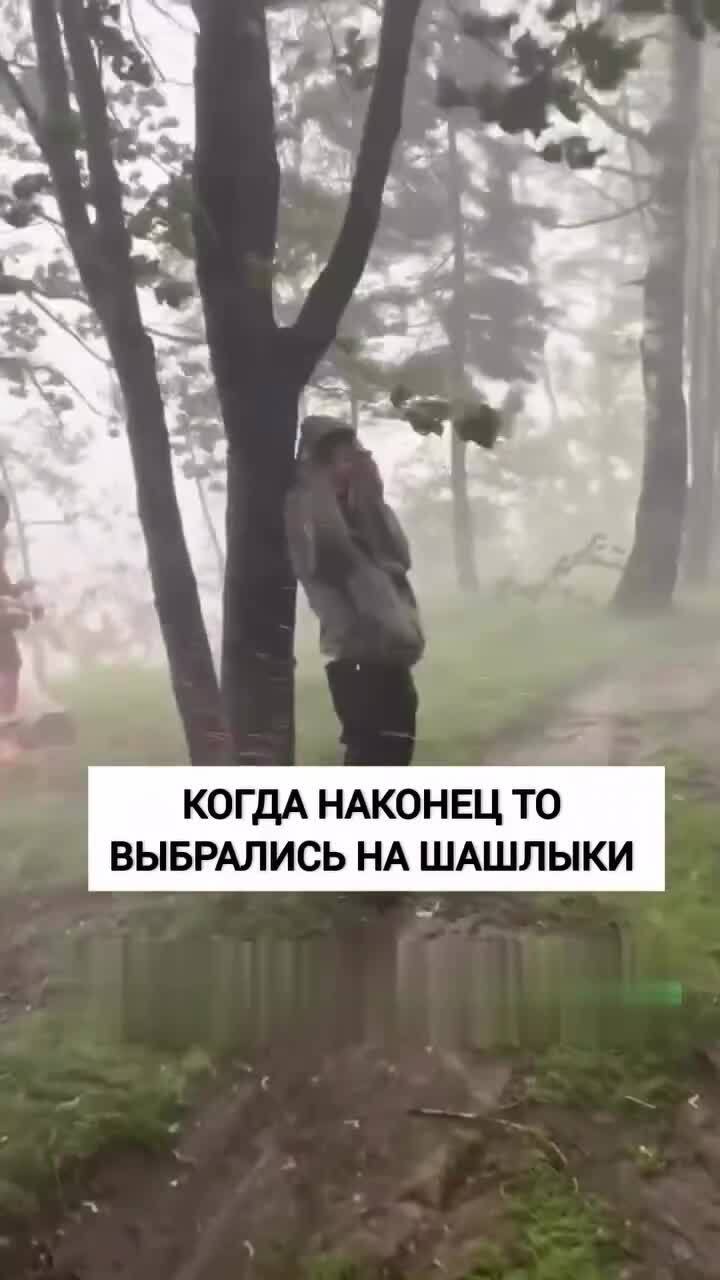 Как говорится, шашлык состоится в любую погоду