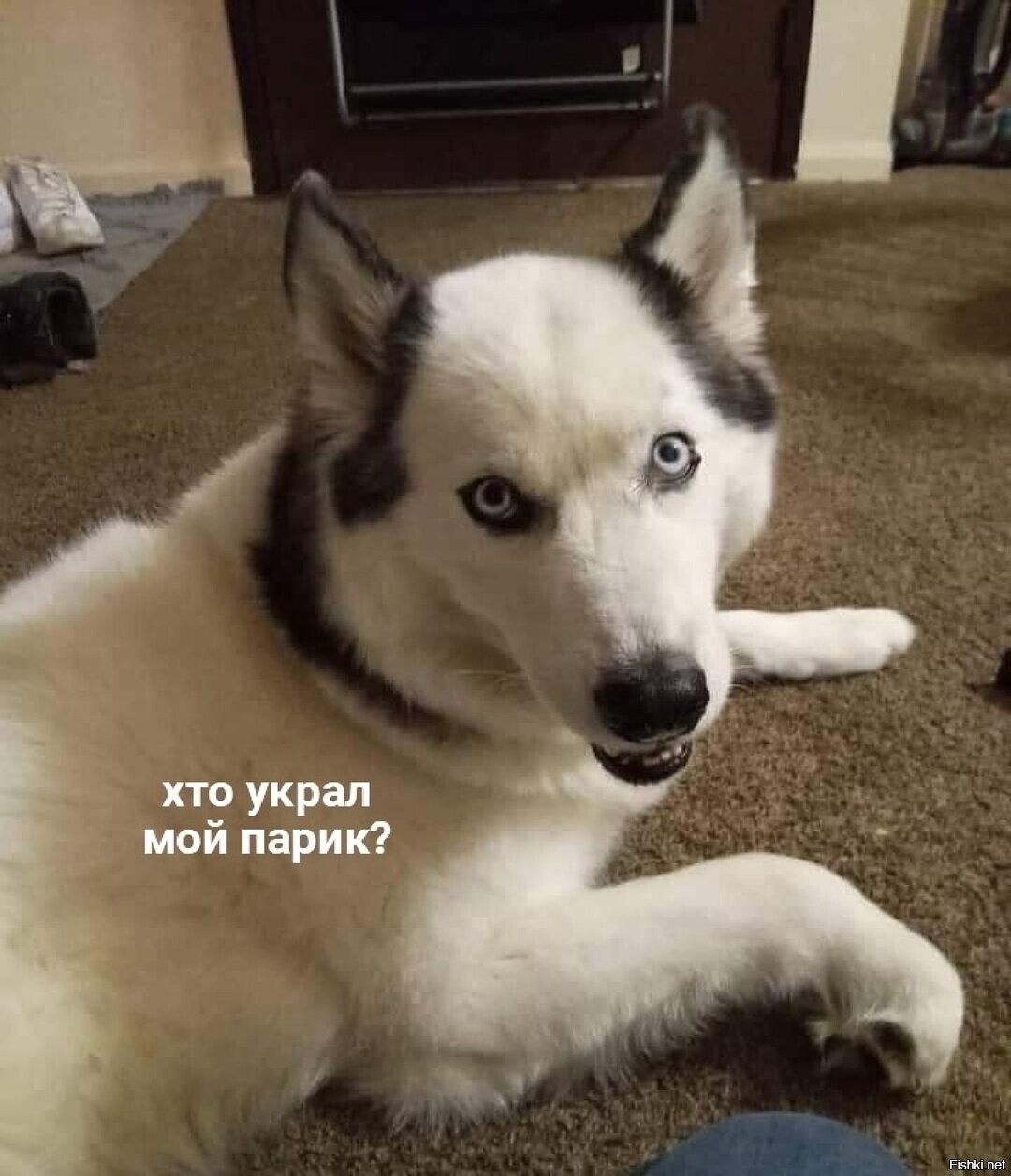 Солянка