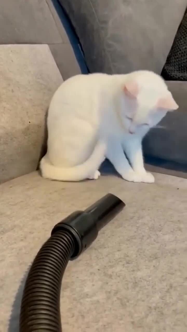 Высосали душу