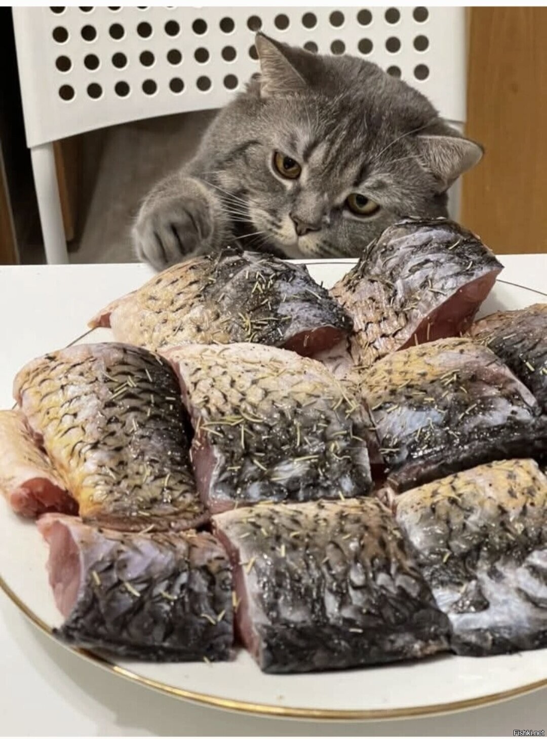Солянка