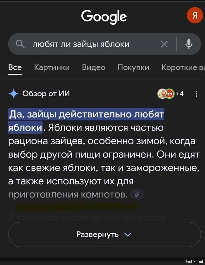 Солянка