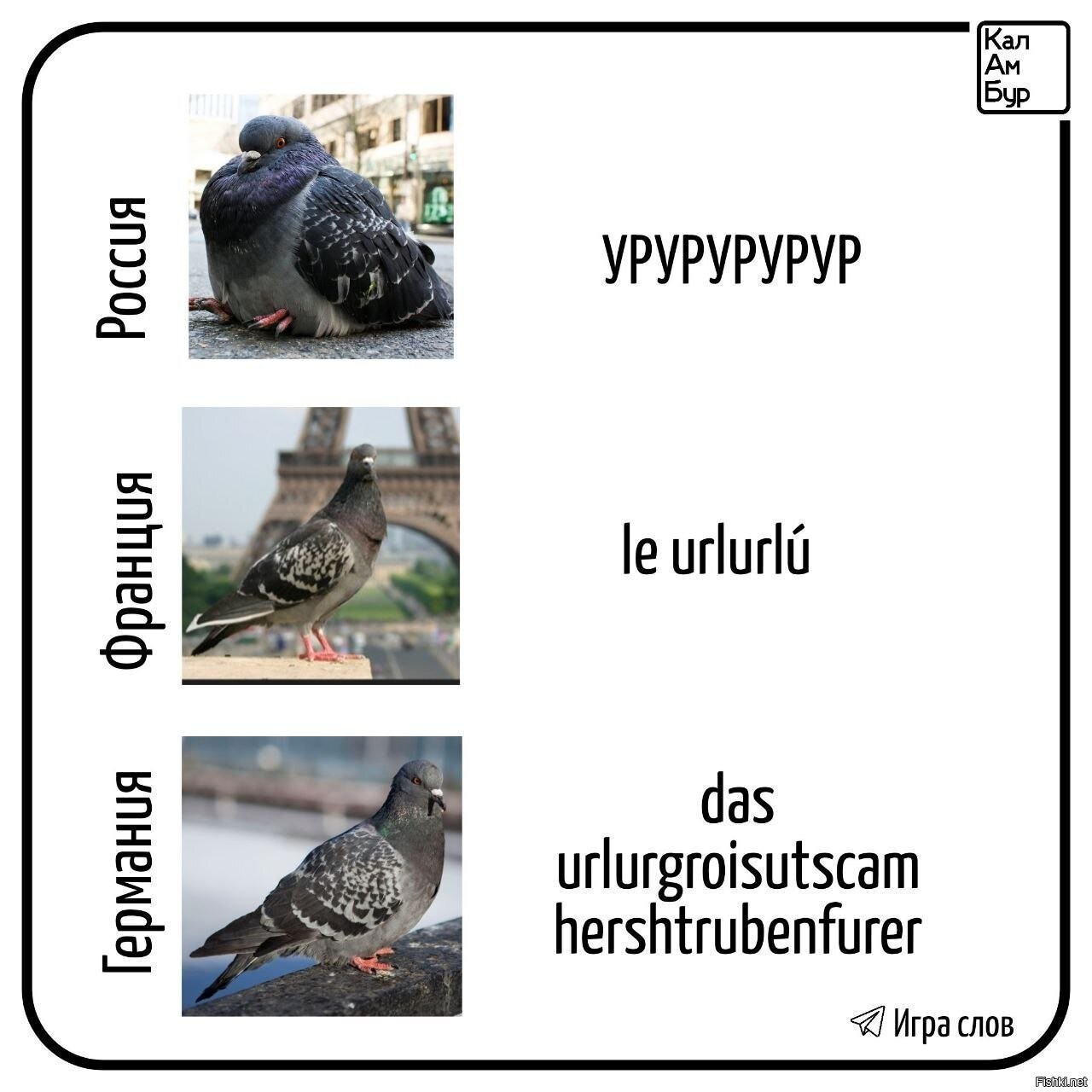 Солянка