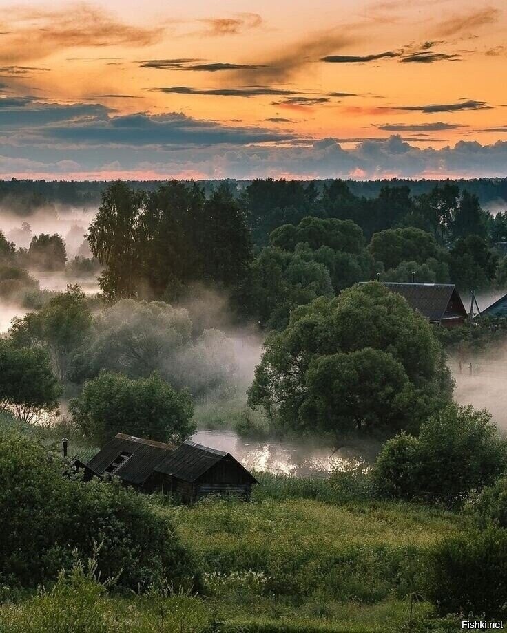 Солянка