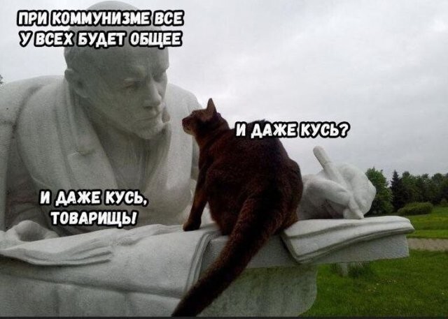 Не ищите здесь смысл. Здесь в основном маразм